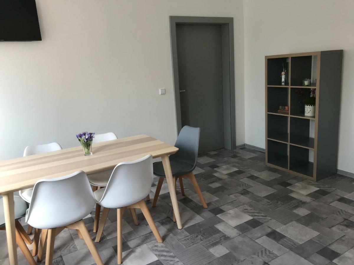 Apartman Havlickova كارلوفي فاري المظهر الخارجي الصورة